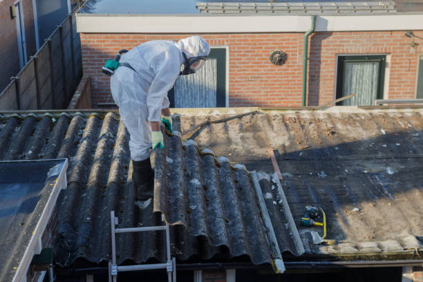 Asbestos Abatement Services