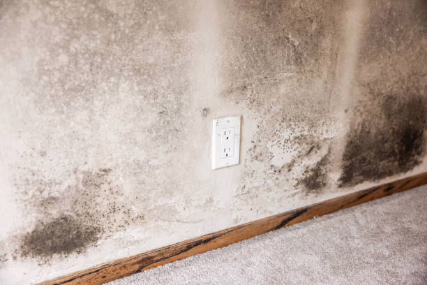 can you stay in home during mold remediation​
